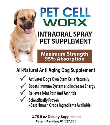 Dog Stem Cell Supplement